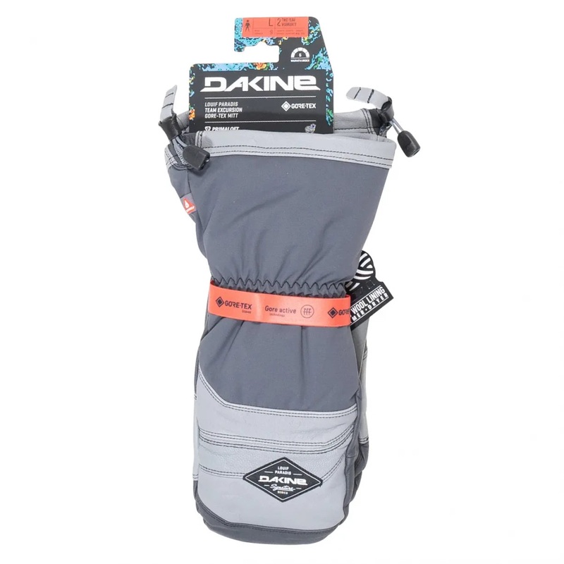 Dakine Team Excurson GoreTex Mitt