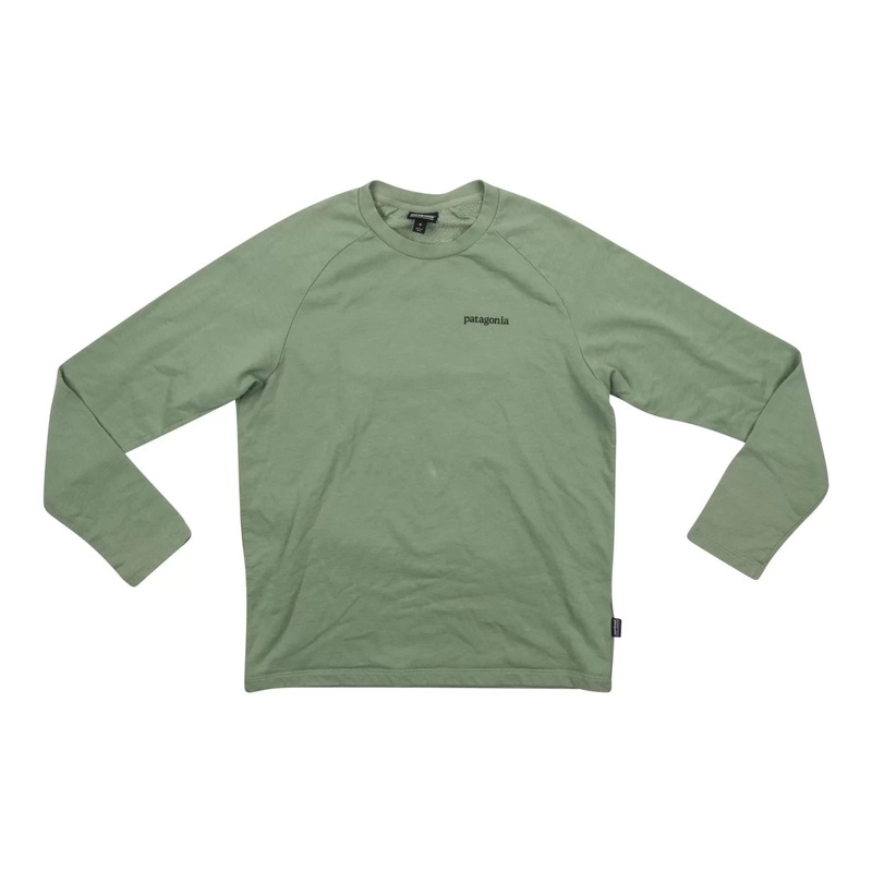 Patagonia Line Logo Ridge Lightweight Crew Sweatshirt - Men's