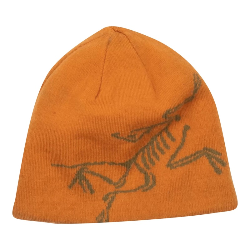 Arc'teryx Reversible Mountain Toque
