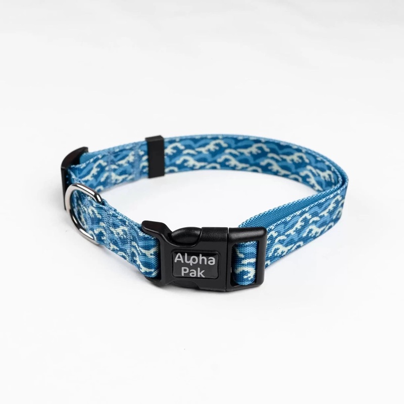 Alpha Pak Everyday Adventure Dog Collar