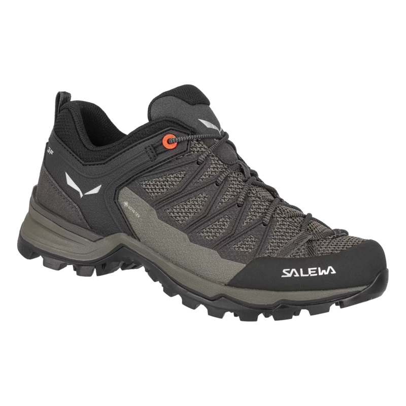 Salewa MTN Trainer Lite Gore Tex