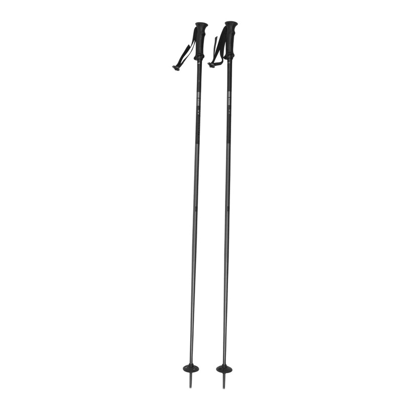 Salomon Arctic Ski Poles