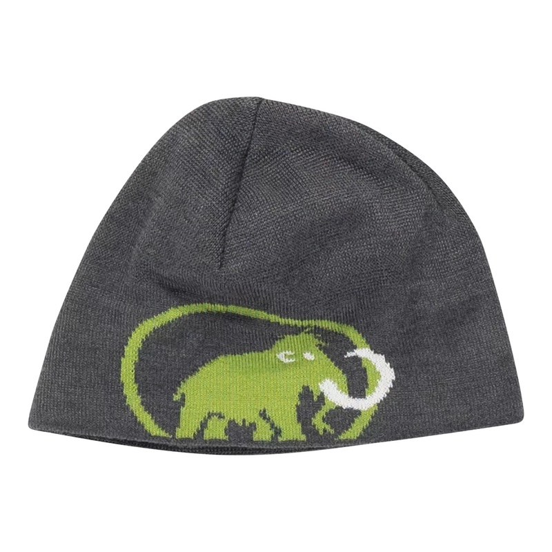 Mammut Fleece Beanie