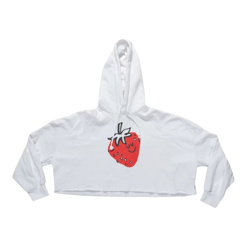 Levi's Cropped Prism Hoodie