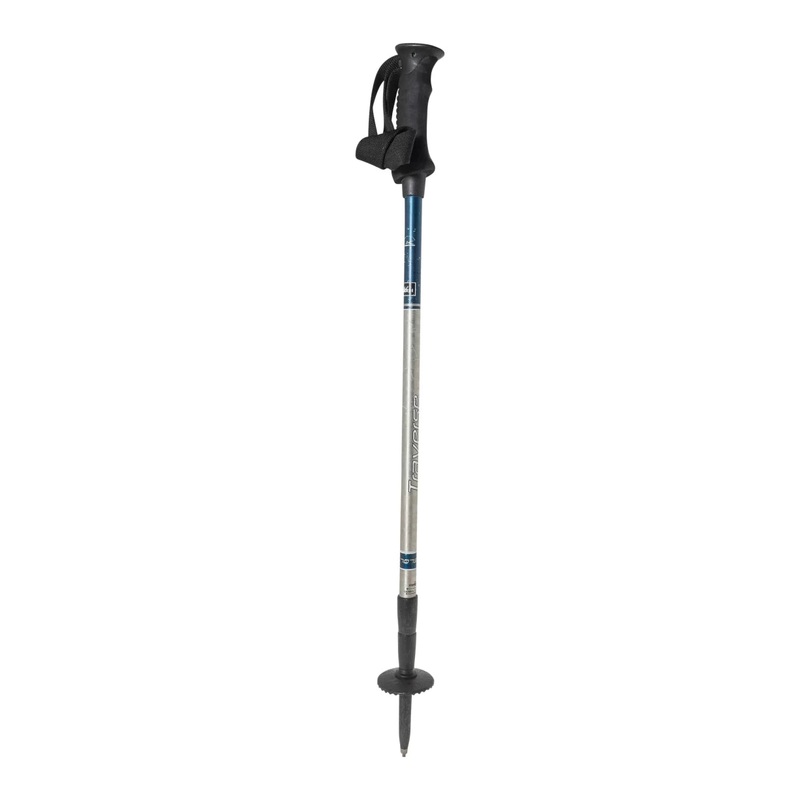 REI Co-op Traverse Shocklight Trekking Pole
