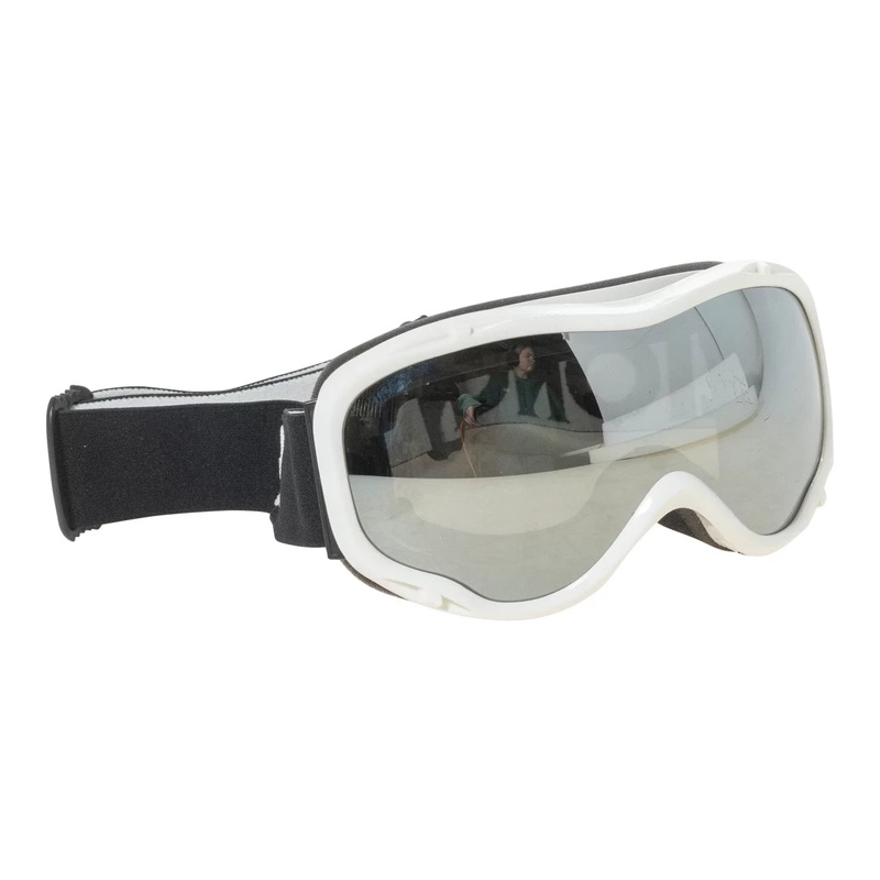 Zionor Lagopus B1 Ski Goggles